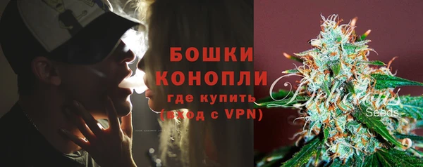 PSILOCYBIN Балабаново
