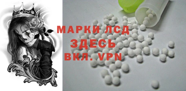 шишки Беломорск