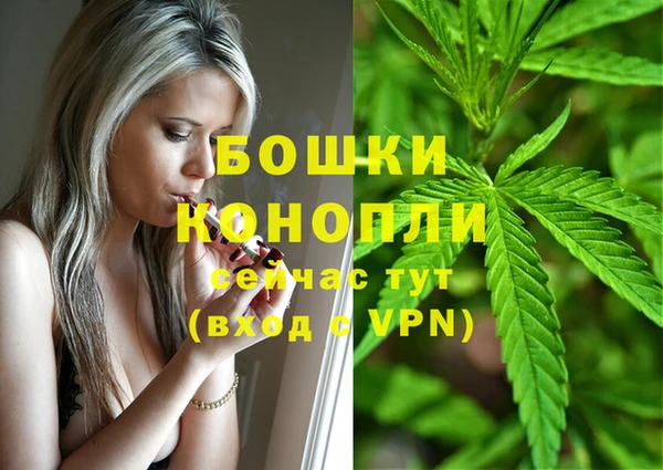 шишки Беломорск