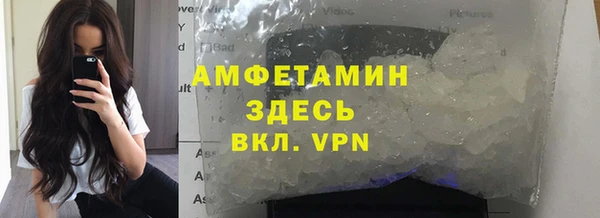 шишки Беломорск