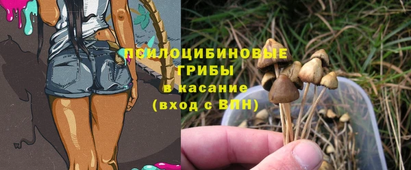 мяу мяу мука Белоозёрский