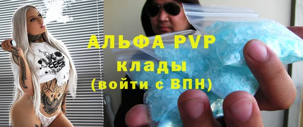 шишки Беломорск